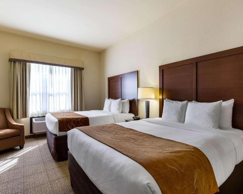 Comfort Suites Near Nasa - Clear Lake Webster Extérieur photo