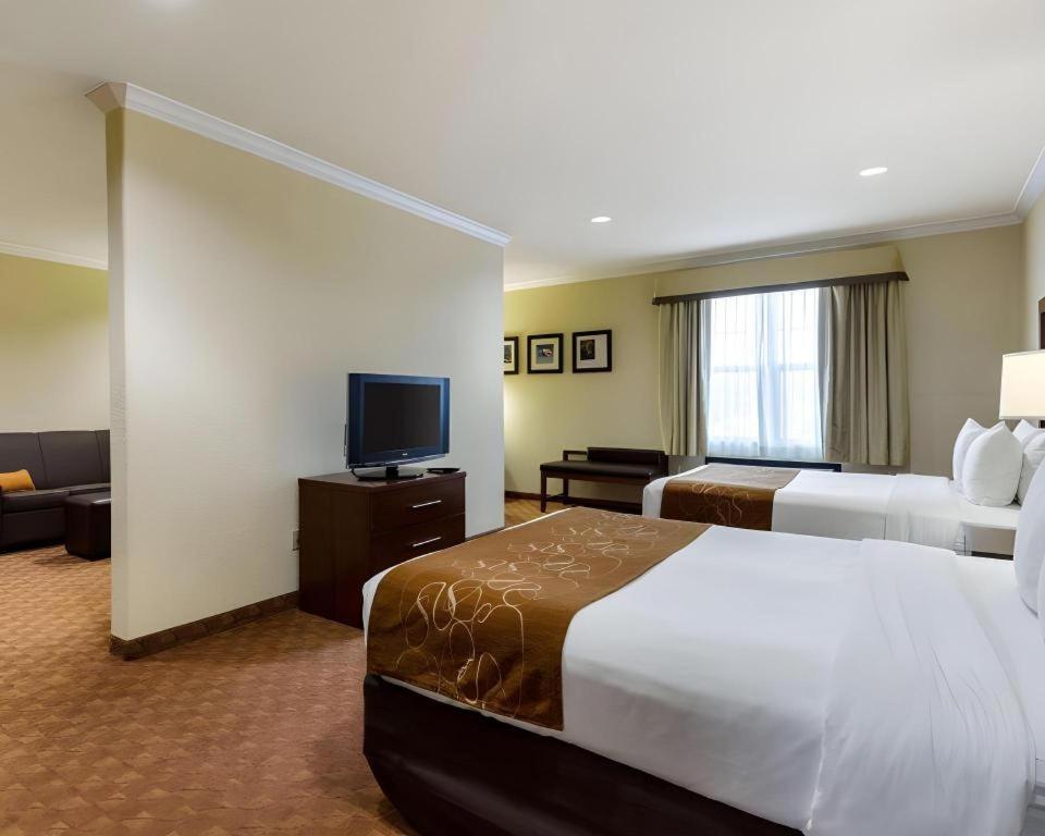 Comfort Suites Near Nasa - Clear Lake Webster Extérieur photo