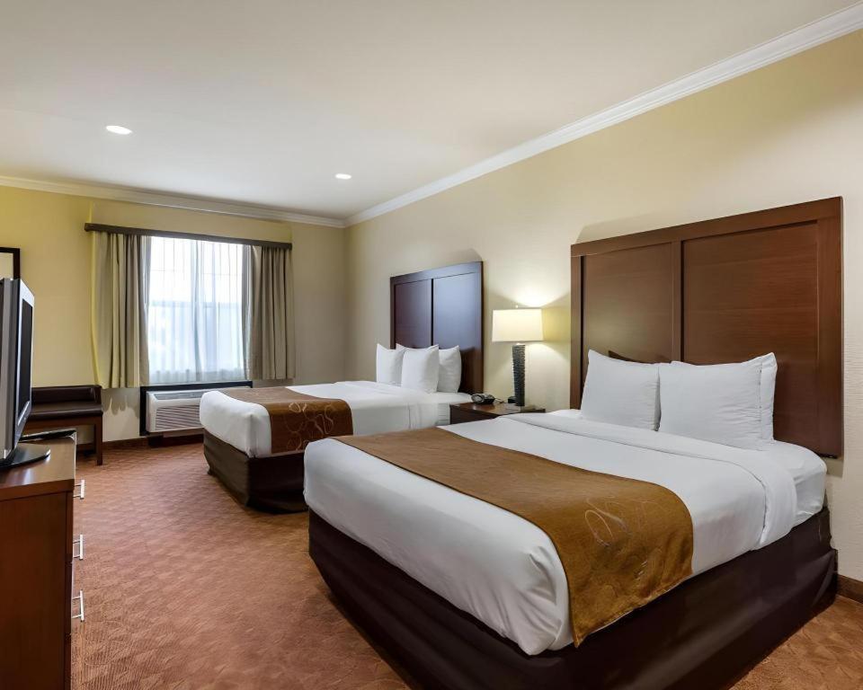 Comfort Suites Near Nasa - Clear Lake Webster Extérieur photo