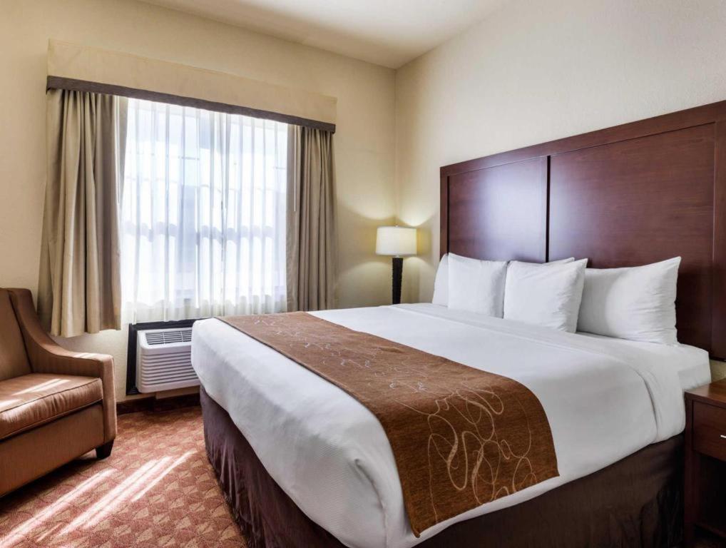 Comfort Suites Near Nasa - Clear Lake Webster Extérieur photo