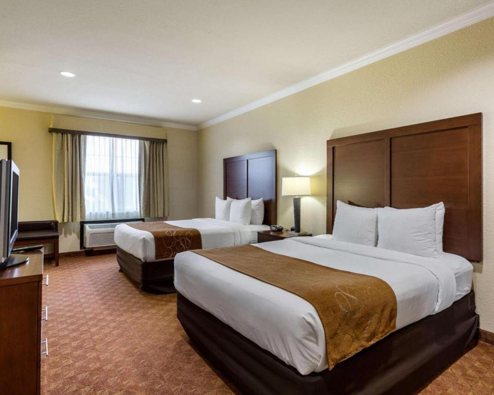 Comfort Suites Near Nasa - Clear Lake Webster Extérieur photo