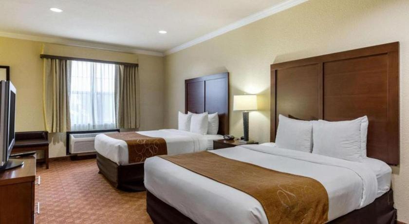 Comfort Suites Near Nasa - Clear Lake Webster Extérieur photo